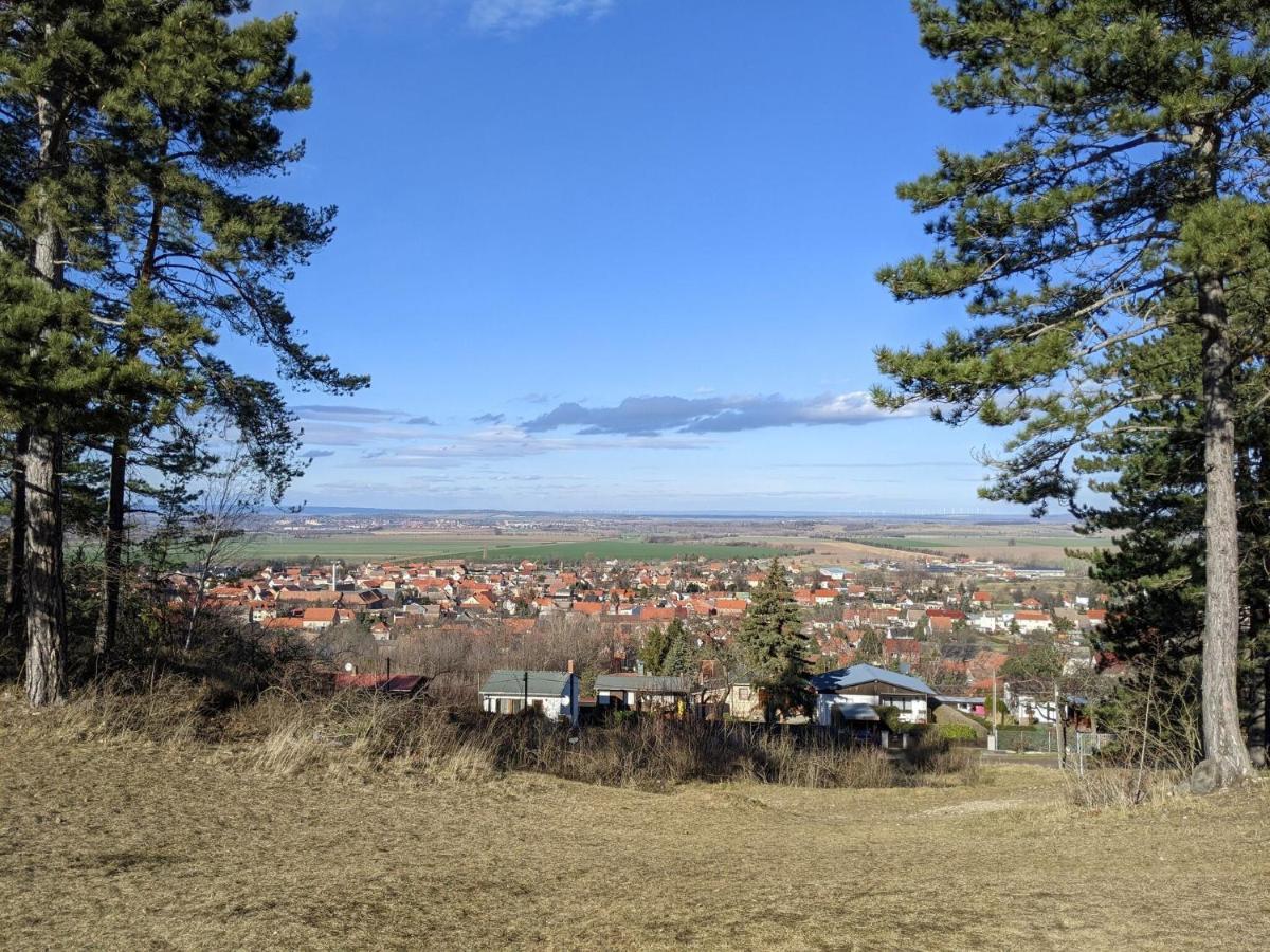Holiday Home On The Mountain With Views Ballenstedt Ngoại thất bức ảnh