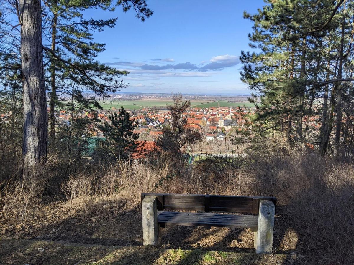 Holiday Home On The Mountain With Views Ballenstedt Ngoại thất bức ảnh